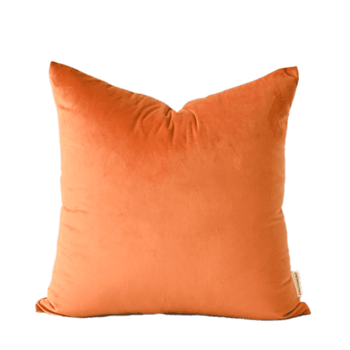 Zen | Mandarin Velvet Pillow Cover